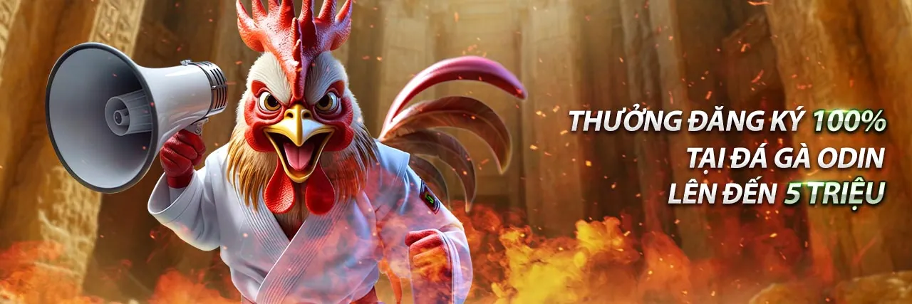 Tin tức mới nhất từ 13wim